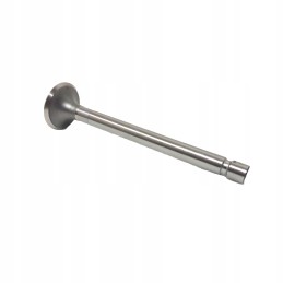 Head exhaust valve c 360 50505060 Paradowski