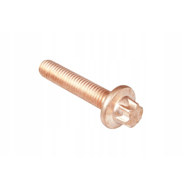 F926200100190 screw with flange m10 x 50