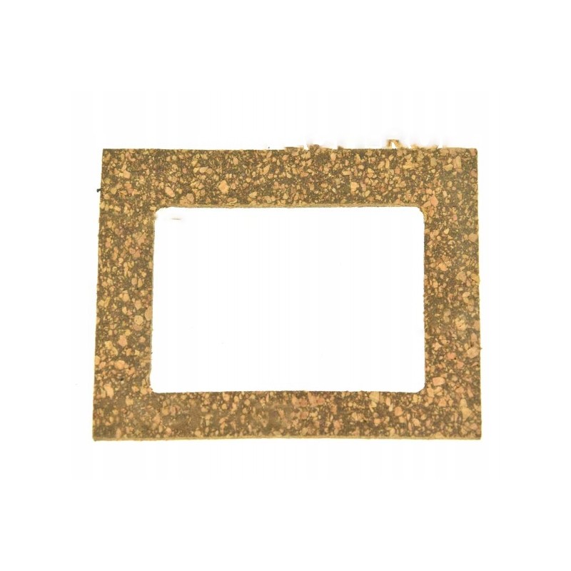 Injection pump cover gasket for c 330 p21400