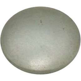 Plug 65650101481 Ursus C 330