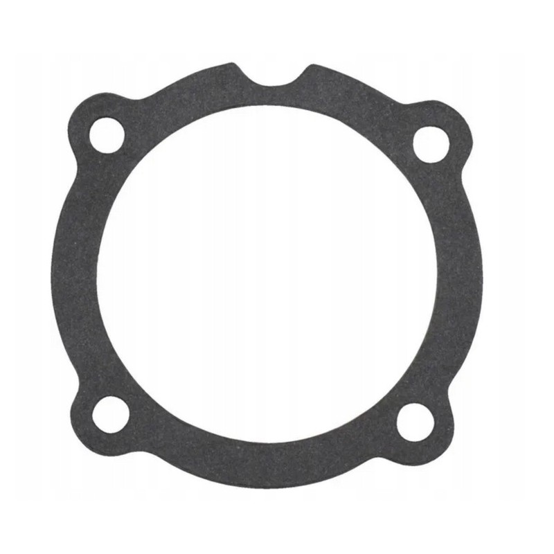 Injection pump gasket c 330 50004290