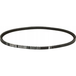 Toothed V-belt AVX 10 735mm AVX10735 Optibel