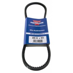 Toothed V-belt AVX 10 825mm AVX10825 Optibel