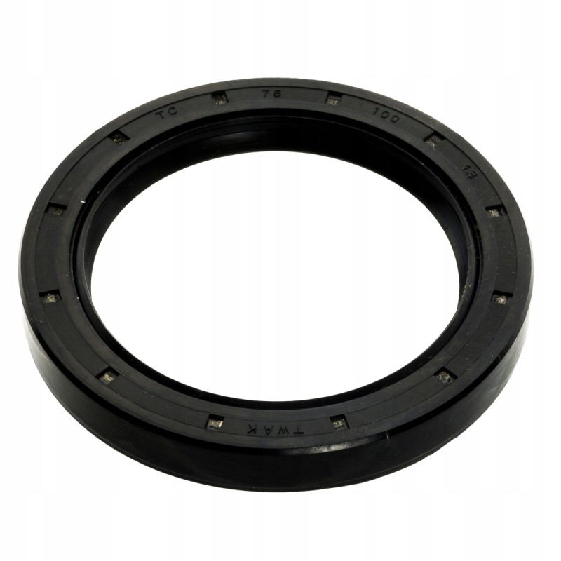 Simmering sealant ao 75x100x13mm