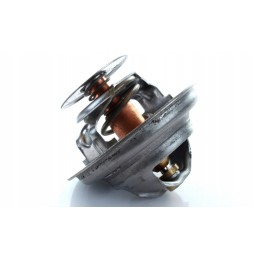 Thermostat landini massey ferguson 4224639m1 polmo