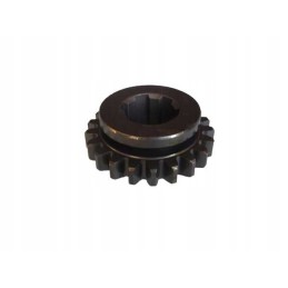 Gear wheel 21 teeth wladimirec t 25 2537228
