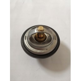 Claas jaguar 800 600 thermostat