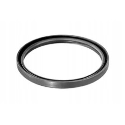 Rear oil seal