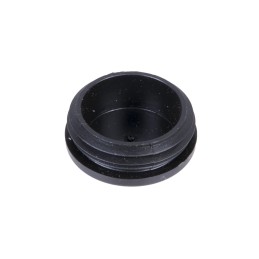 F824200210240 flywheel housing plug