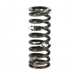 Old type latch spring for T 25 5437408