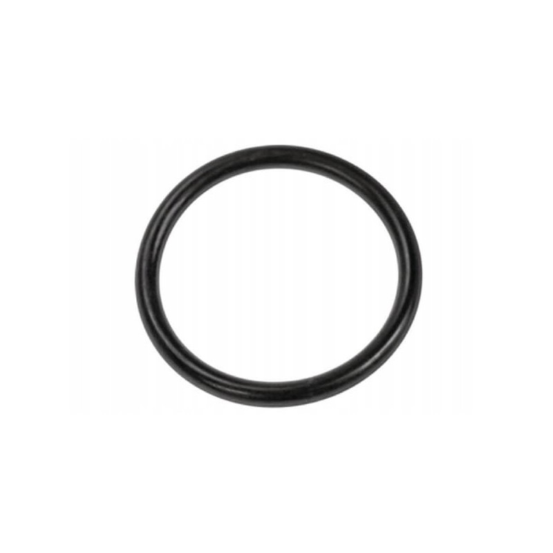 Seal ring for the brake master cylinder ring