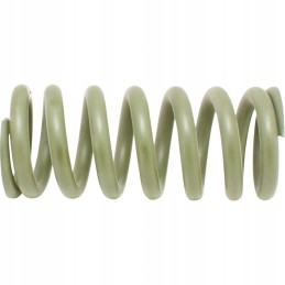Suspension spring 65755113649 agtech