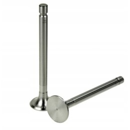 Exhaust valve for c 360 50505060