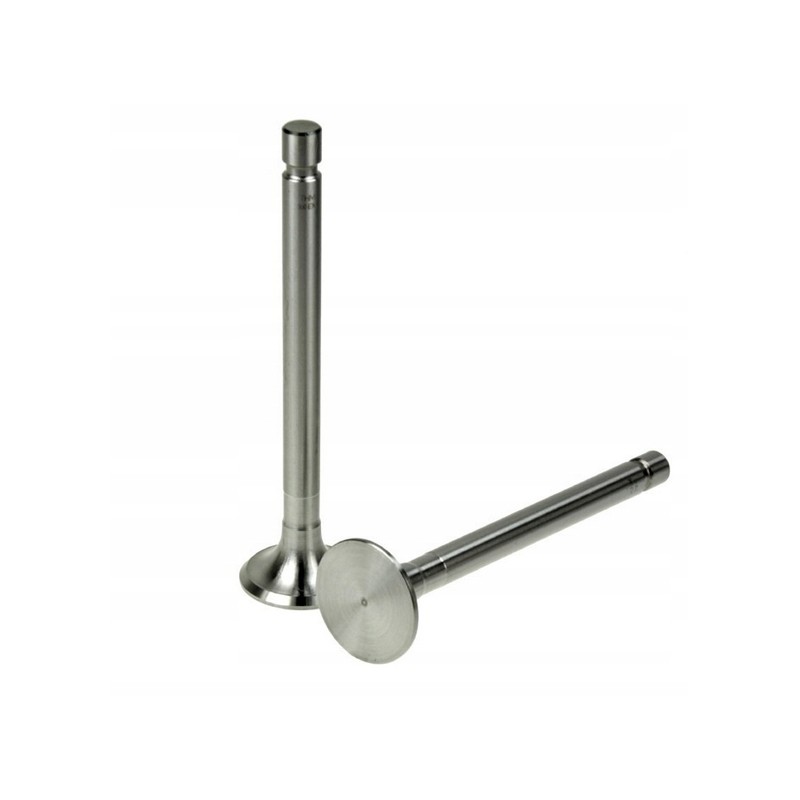 Exhaust valve for c 360 50505060