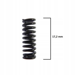 Distributor latch spring C 330 Archimedes