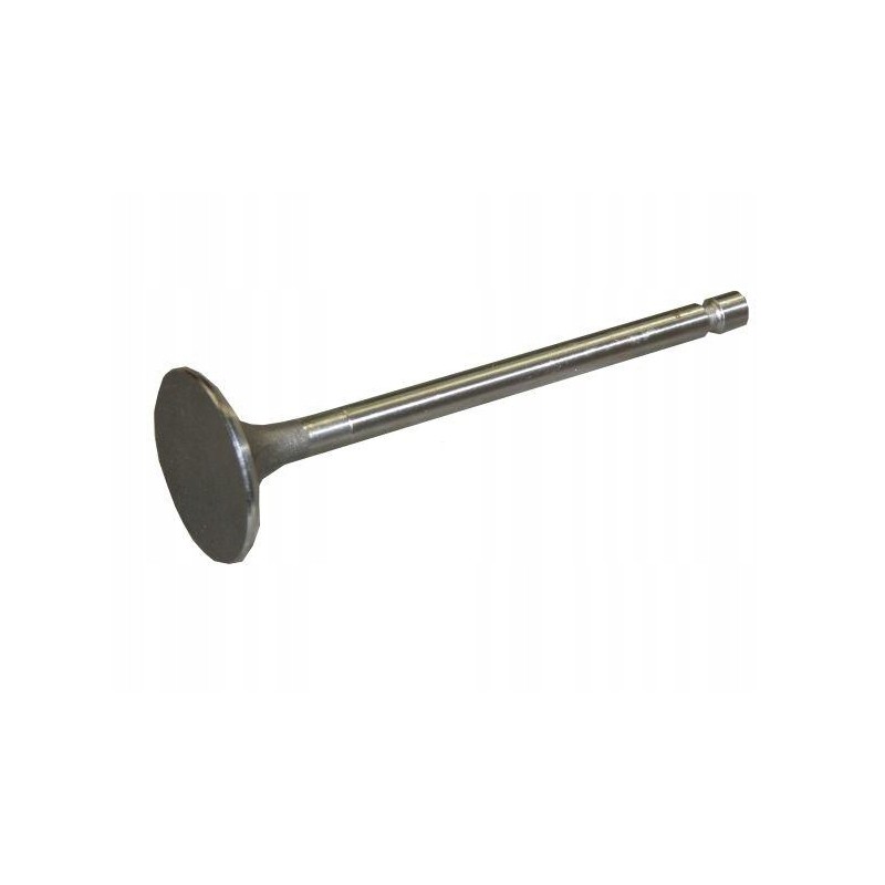 MF4 Paradowski intake valve