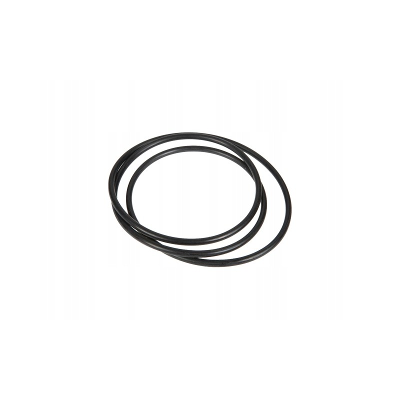 Claas Renault gearbox piston O ring 6005018667