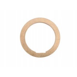 Friction washer 385 80126016