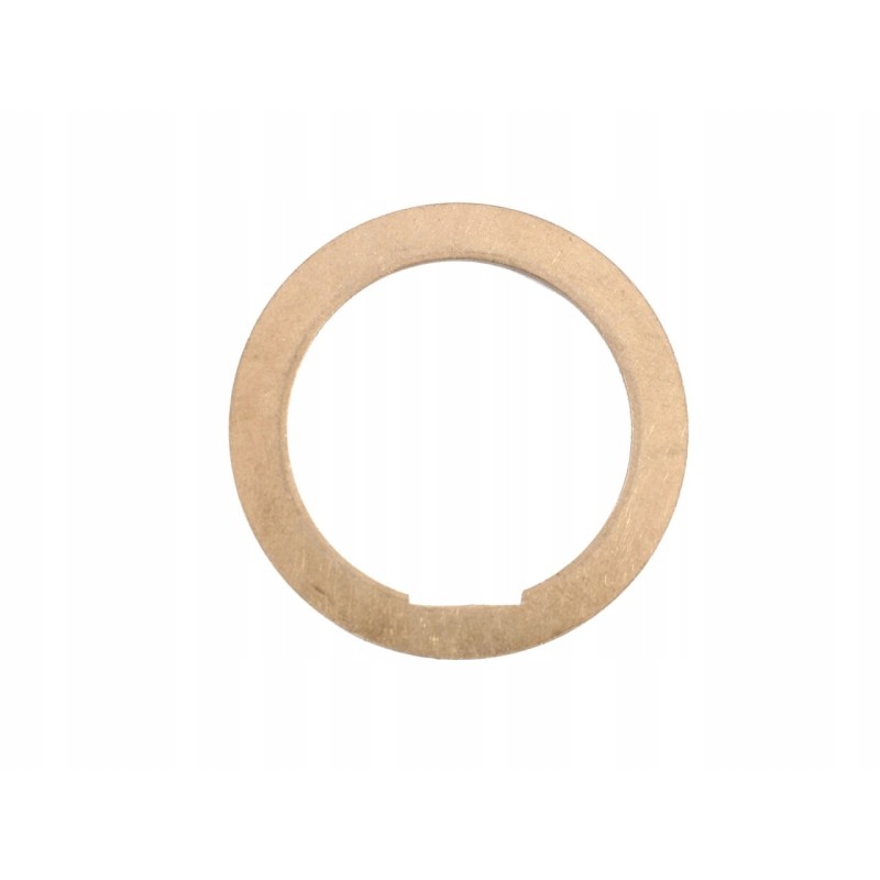 Friction washer 385 80126016