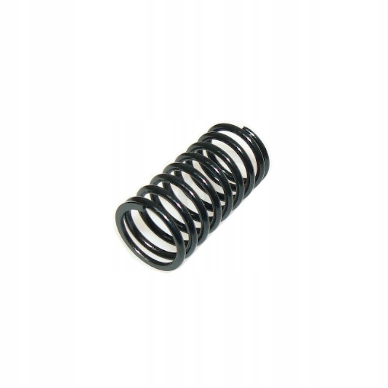 Internal valve spring zetor 78005017