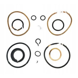 Complete set of c 100 actuator gaskets for mtz 80