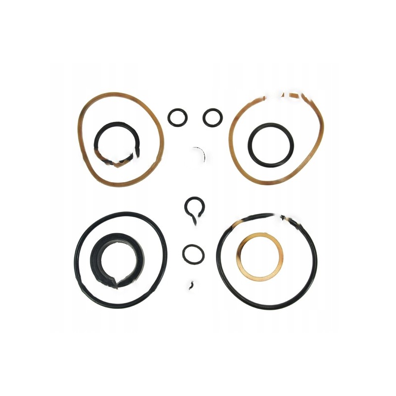 Complete set of c 100 actuator gaskets for mtz 80