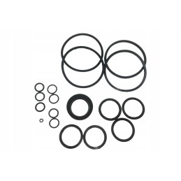 Complete set of c 100 actuator gaskets for mtz 80