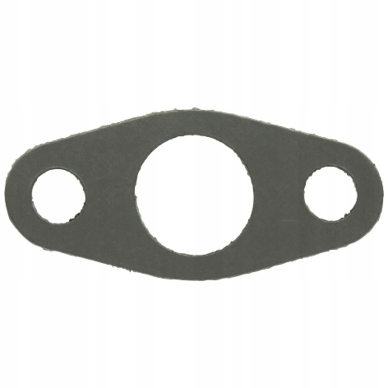 Seal f184230100110 fendt