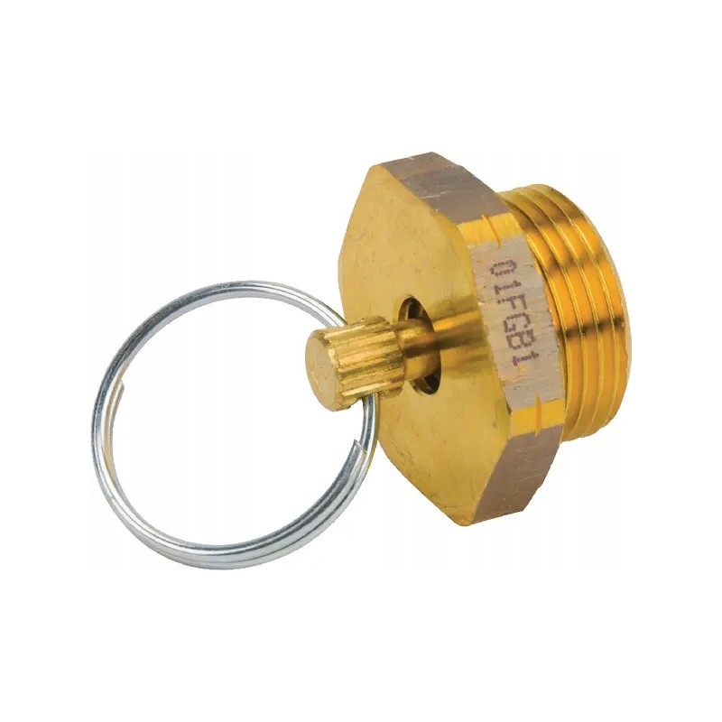 Manual drain valve