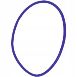 Cylinder liner gasket 80002003