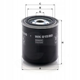 Toyota Landcr fuel filter