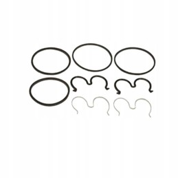 Hydraulic pump seal kit 3904207m91