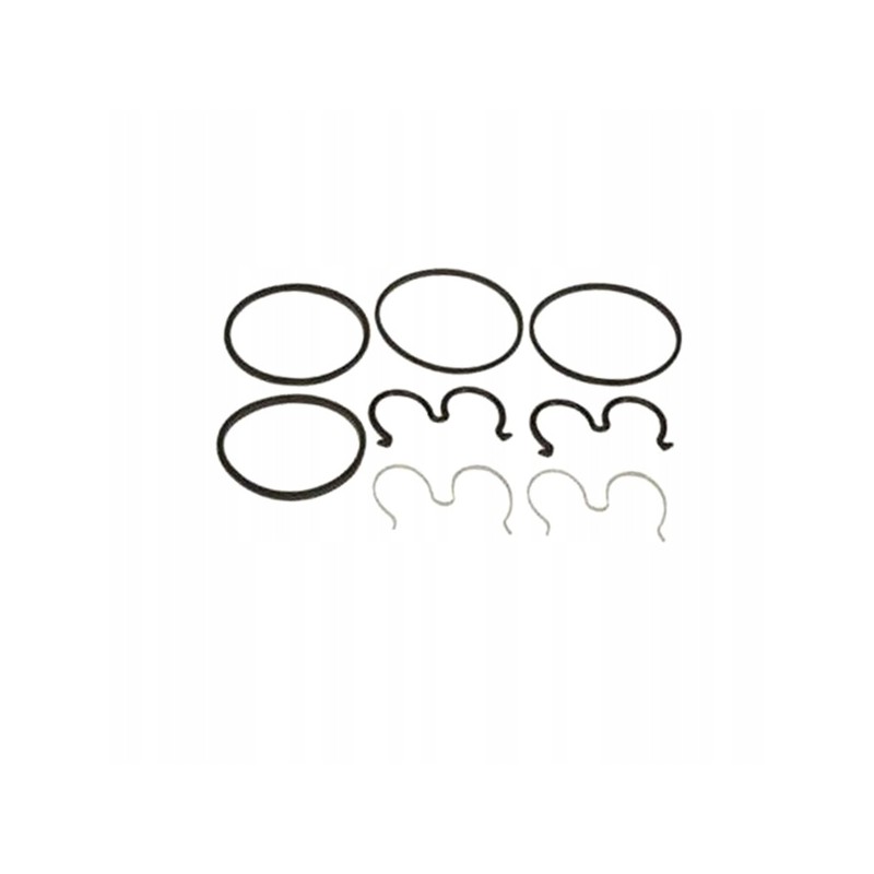 Hydraulic pump seal kit 3904207m91