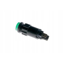 Green dashboard indicator light