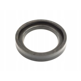 Air cylinder diameter 100 collar 6050163402