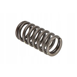 F716201210270 valve spring