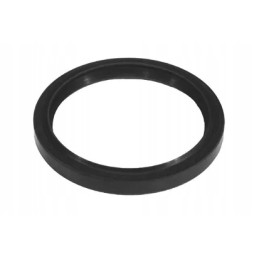 Rear oil seal