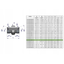 Hydraulic reducing connector 1 2 x 1 Warynski