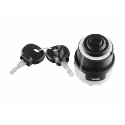 Ignition switch 950 89