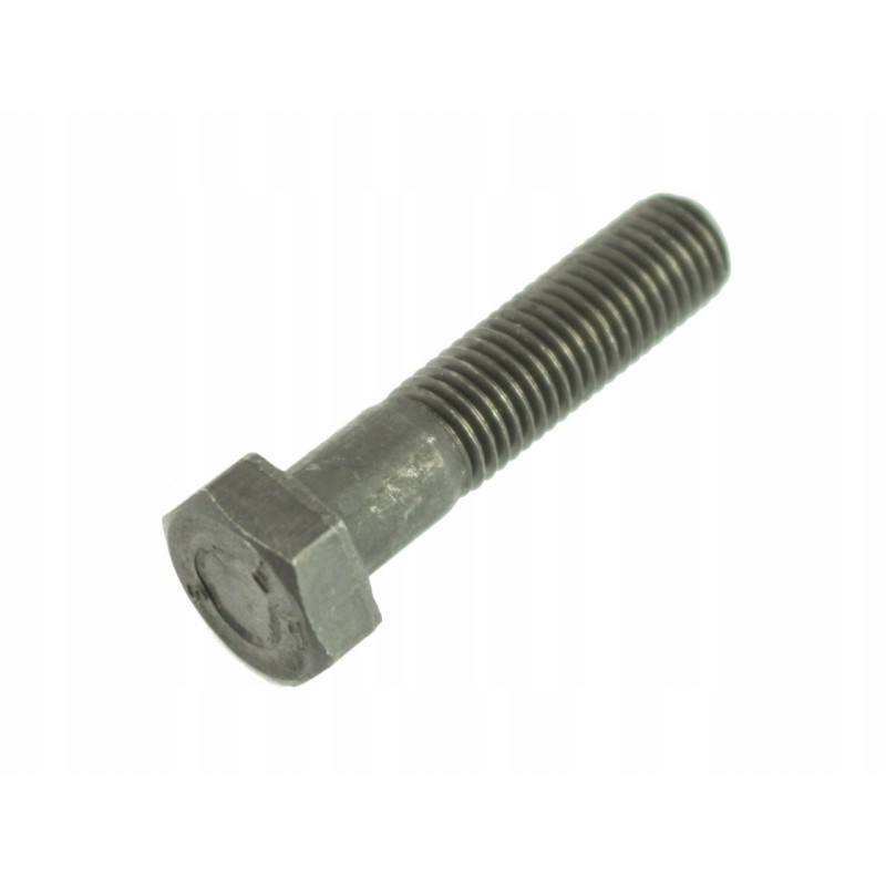 Timing cover bridge bolt 0096232