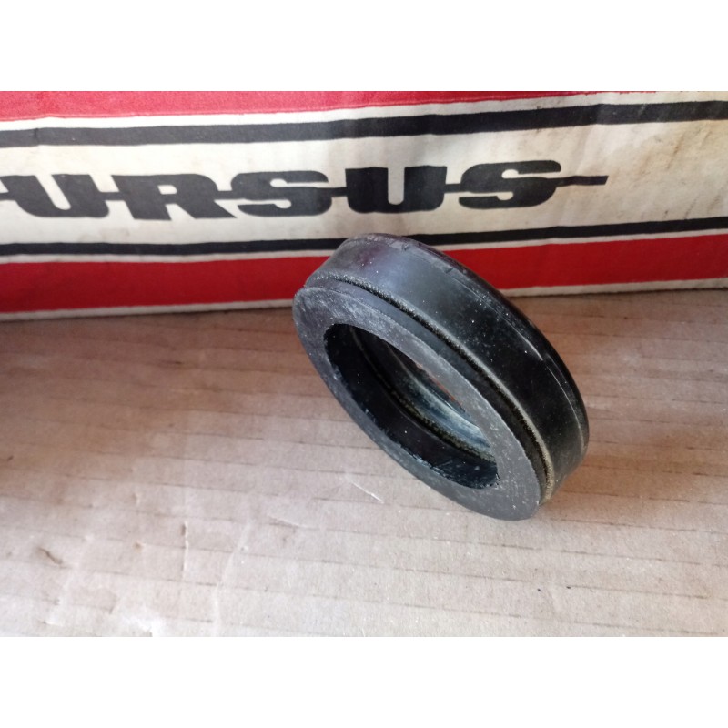 Turn signal lamp ring 50024660 pl 2 pcs