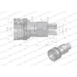 Quick connector socket M20x1 5 euro external thread