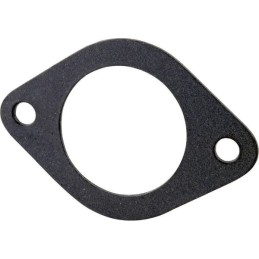 Gasket, intake manifold, air filter c 330 269