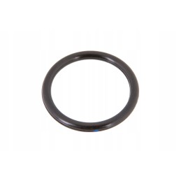 Ct6005025979 filter head o-ring
