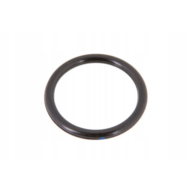 Ct6005025979 filter head o-ring