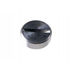 Crankshaft plug c 385