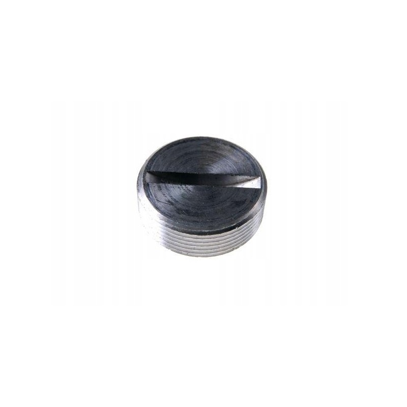 Crankshaft plug c 385