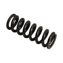 Latch spring wladimirec t 25 t25 15021221