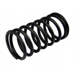 Outer valve spring 50505080 ursus c 360