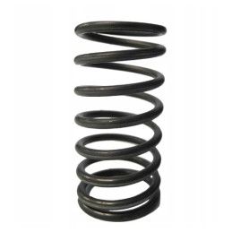 Outer valve spring 50505080 ursus c 360
